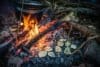 Cuisine des plantes sauvages au feu de bois