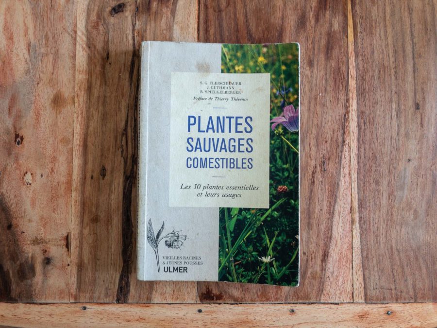 50 plantes sauvages comestibles