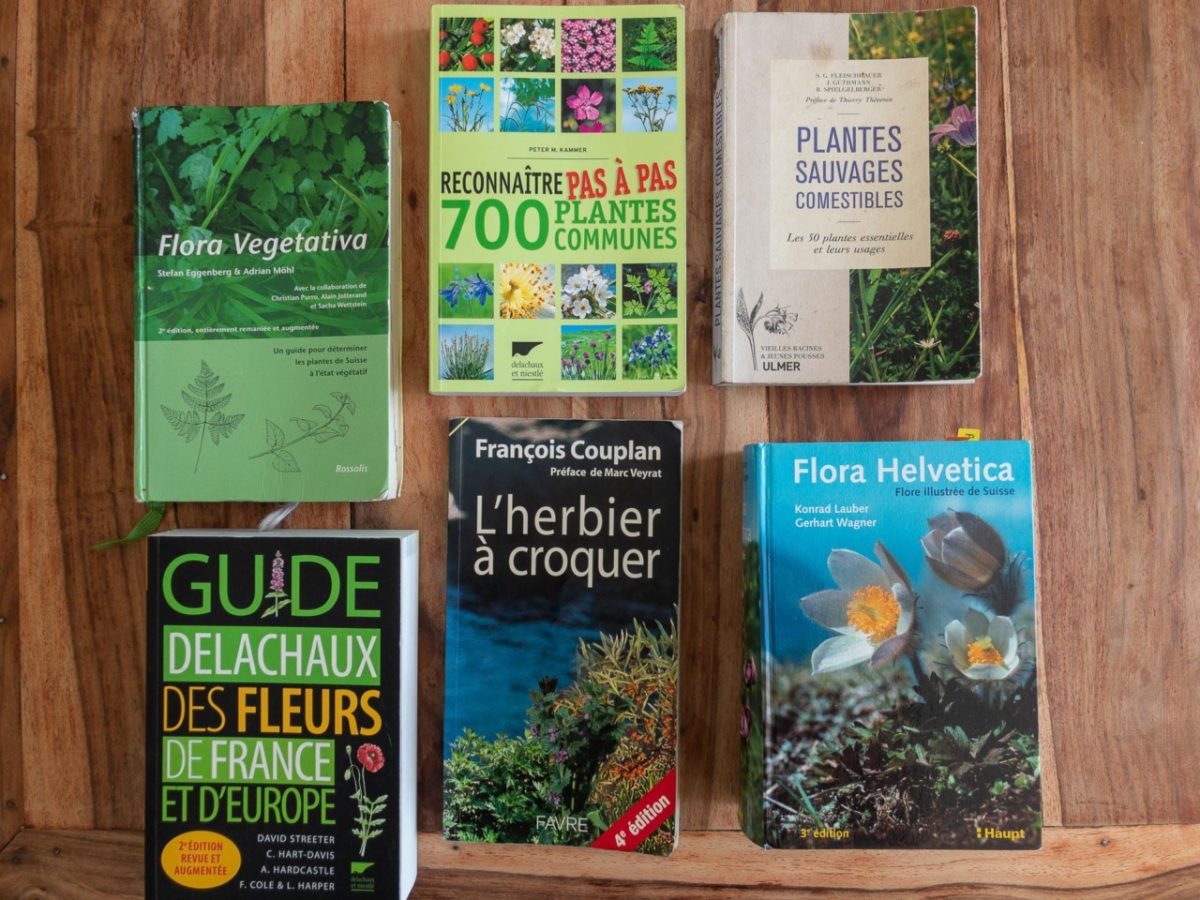 Les meilleurs livres pour reconnaître les plantes sauvages comestibles