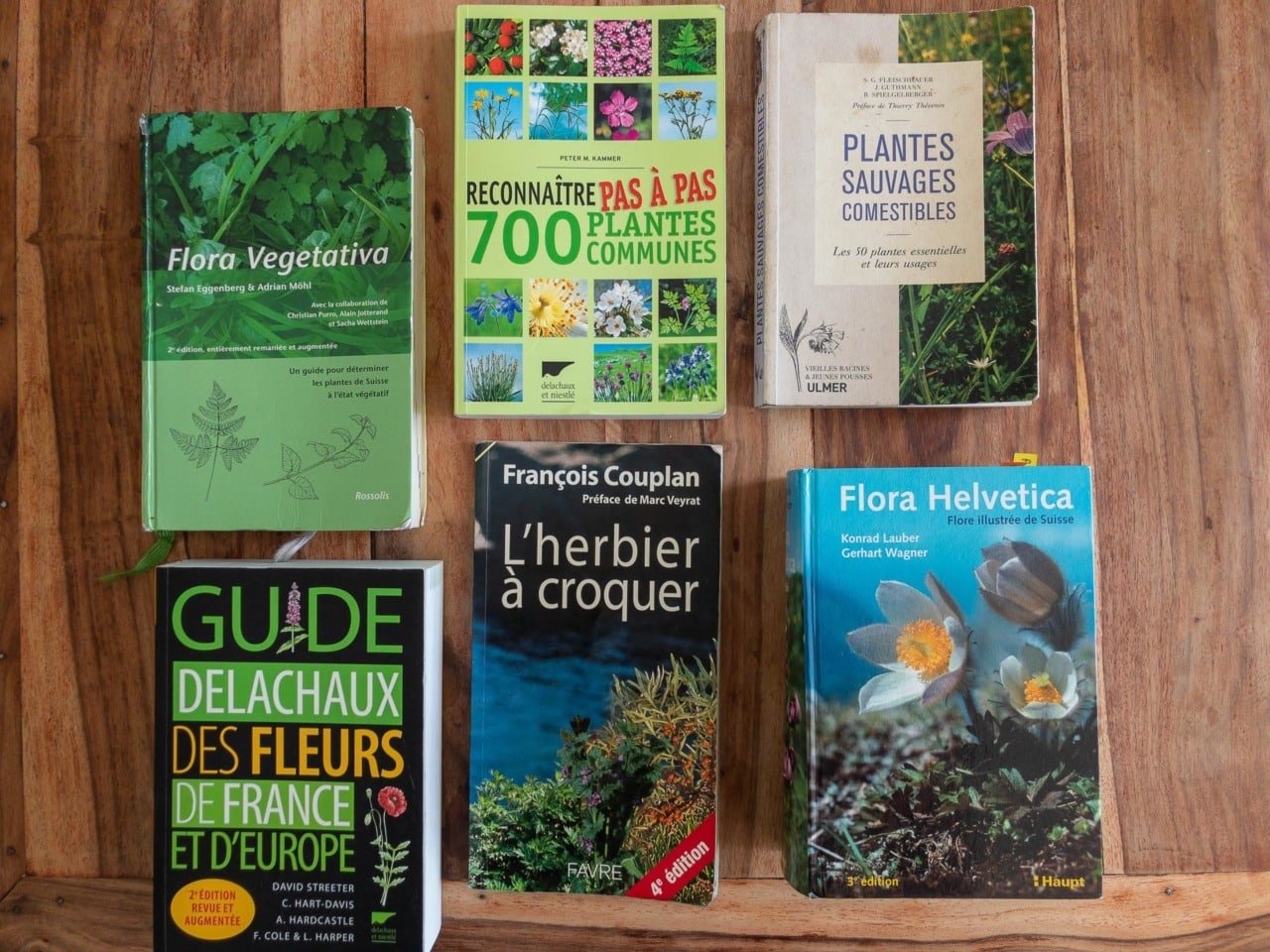 Image à la une pour “Les meilleurs livres pour reconnaître les plantes sauvages comestibles”