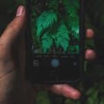 Image à la une  pour “Les meilleures applications pour apprendre les plantes sauvages en 2023”