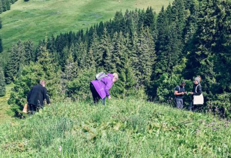 Cours de cueillette en groupe aux Paccots
