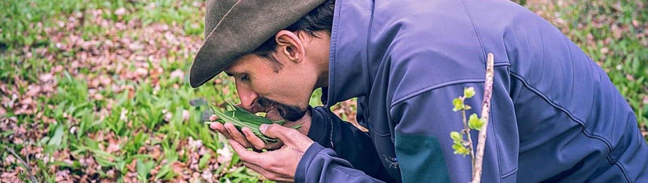 Sentir les plantes peut être un critère de détermination
