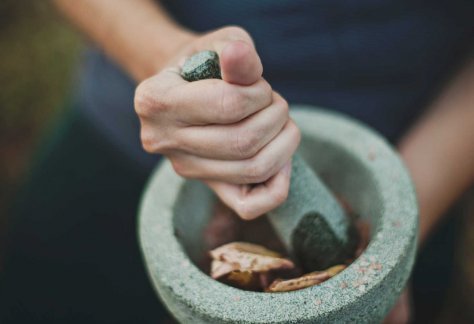 Pillage de plantes et de résines pour fabriquer un encens maison