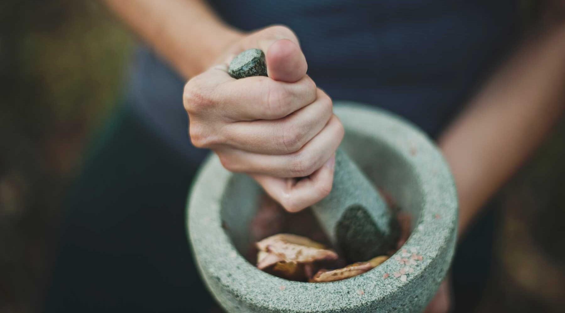 Pillage de plantes et de résines pour fabriquer un encens maison