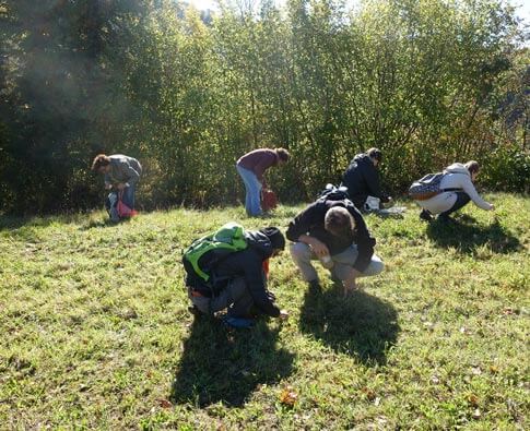 Cueillette des plantes sauvages en pleine conscience