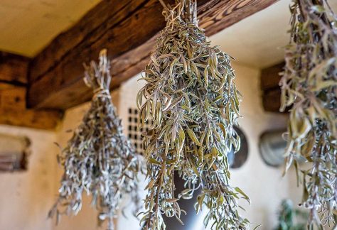 Séchage de plantes médicinales