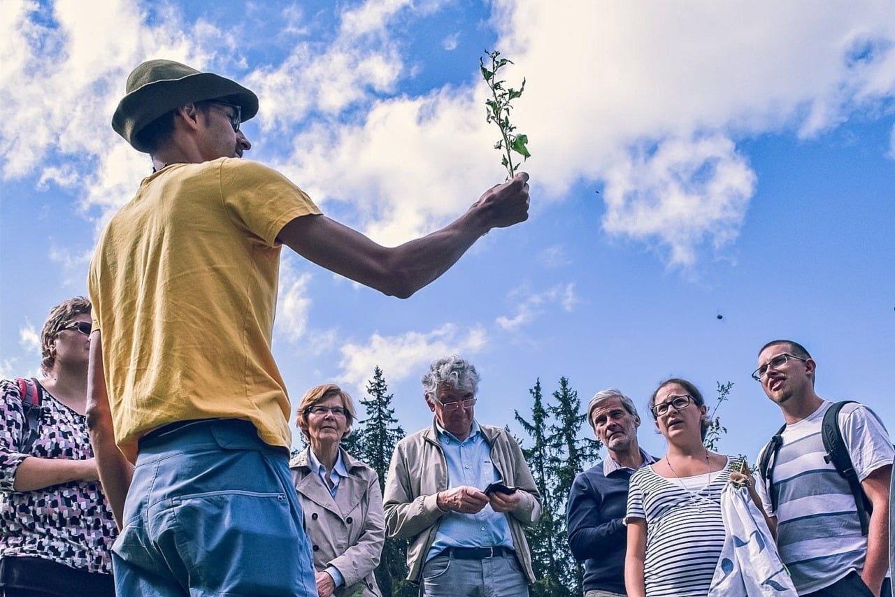 Cours sur les plantes sauvages aux Paccots