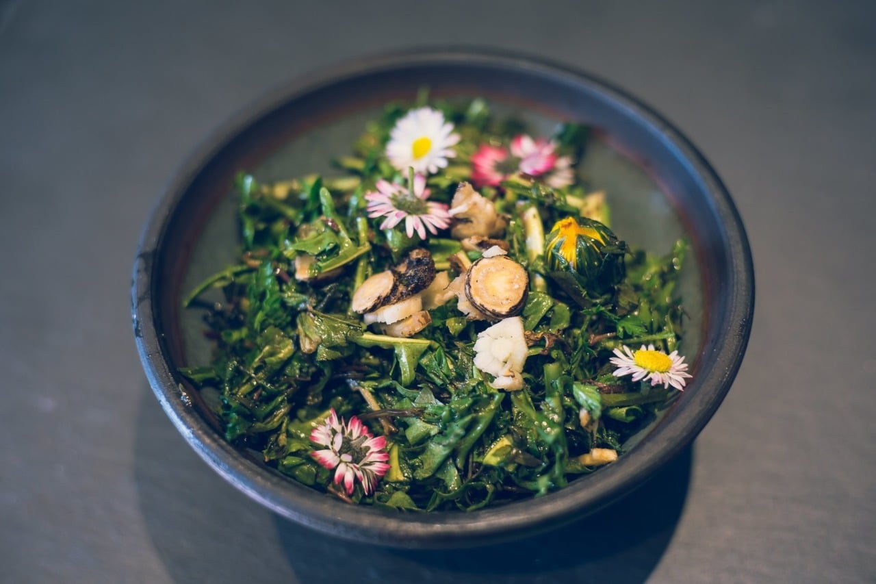 Featured image for “Les 6 meilleures salades sauvages de printemps”