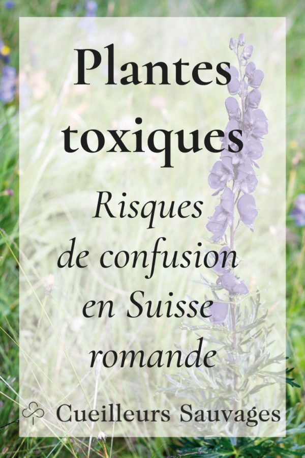 Évitez de consommer des plantes toxiques! Cet article présente la liste des cas avérés d'intoxication par des plantes toxiques en Suisse romande.