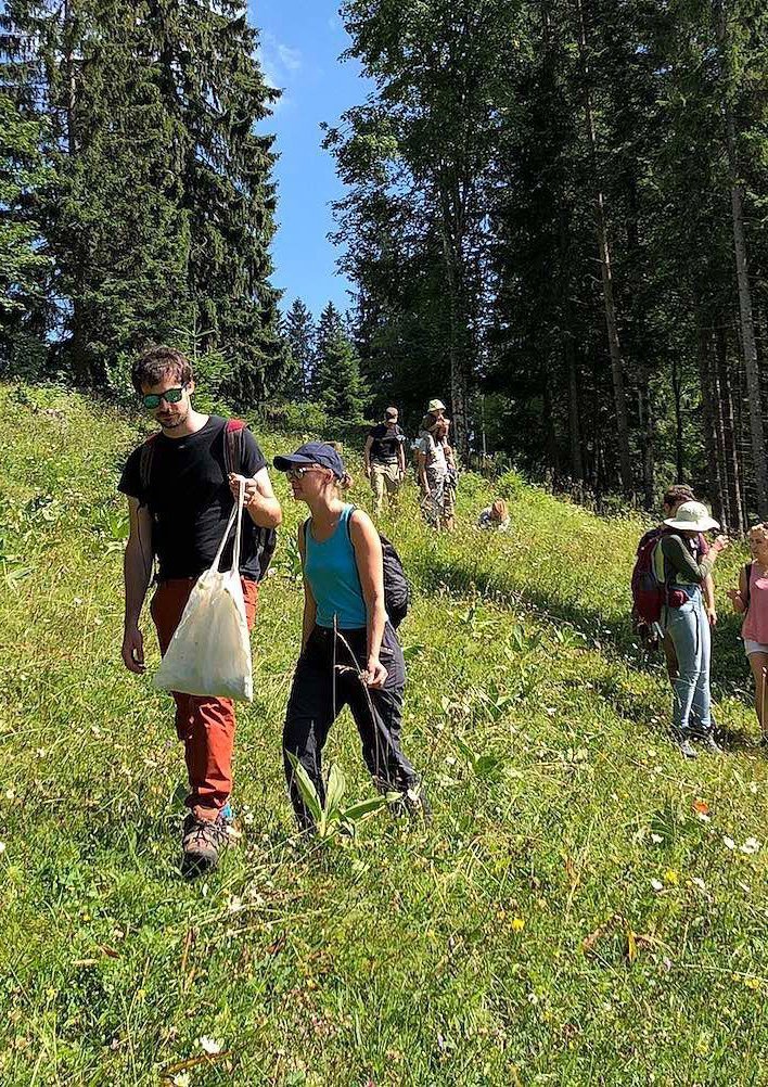 Cours de Cueillette sauvage et de botanique. Cueilleurs Sauvages.