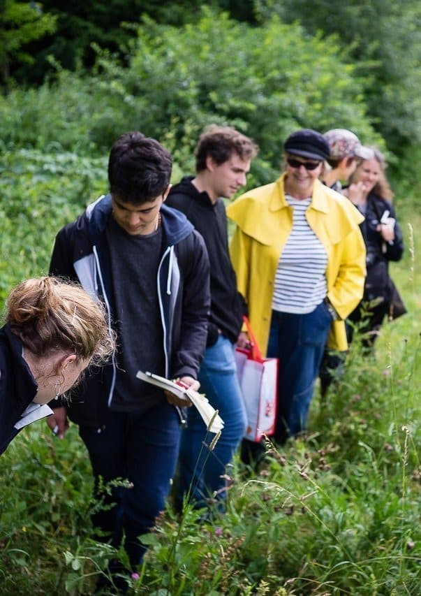 Cours de Cueillette sauvage et de botanique. Cueilleurs Sauvages.