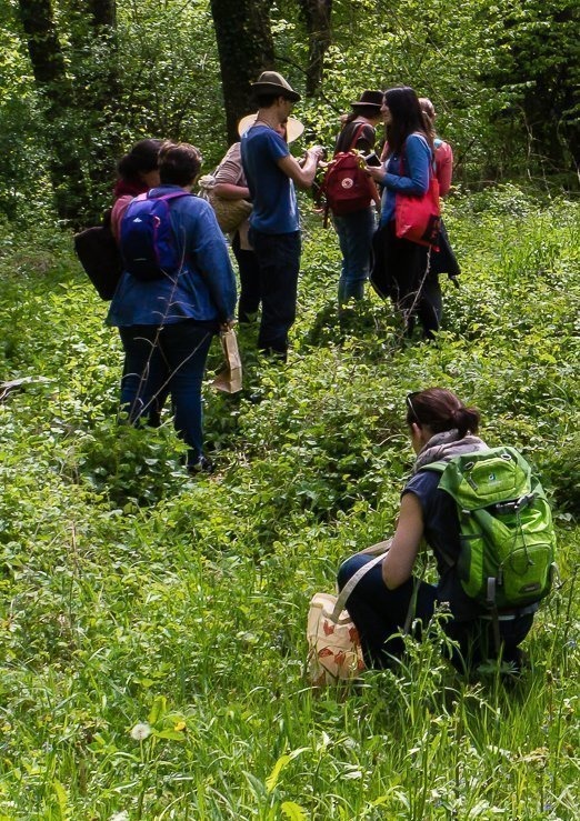 Cours de Cueillette sauvage et de botanique. Cueilleurs Sauvages.