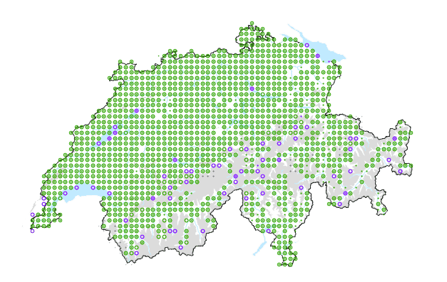Le plantain lancéolé est une plante courante en Suisse, en plaine et en montagne.