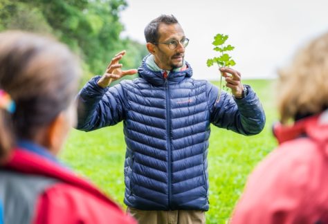 Cours d'initiation à la cueillette sauvage