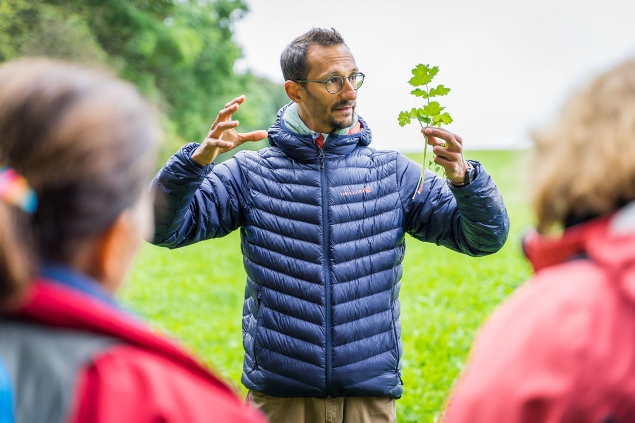 Cours d'initiation à la cueillette sauvage