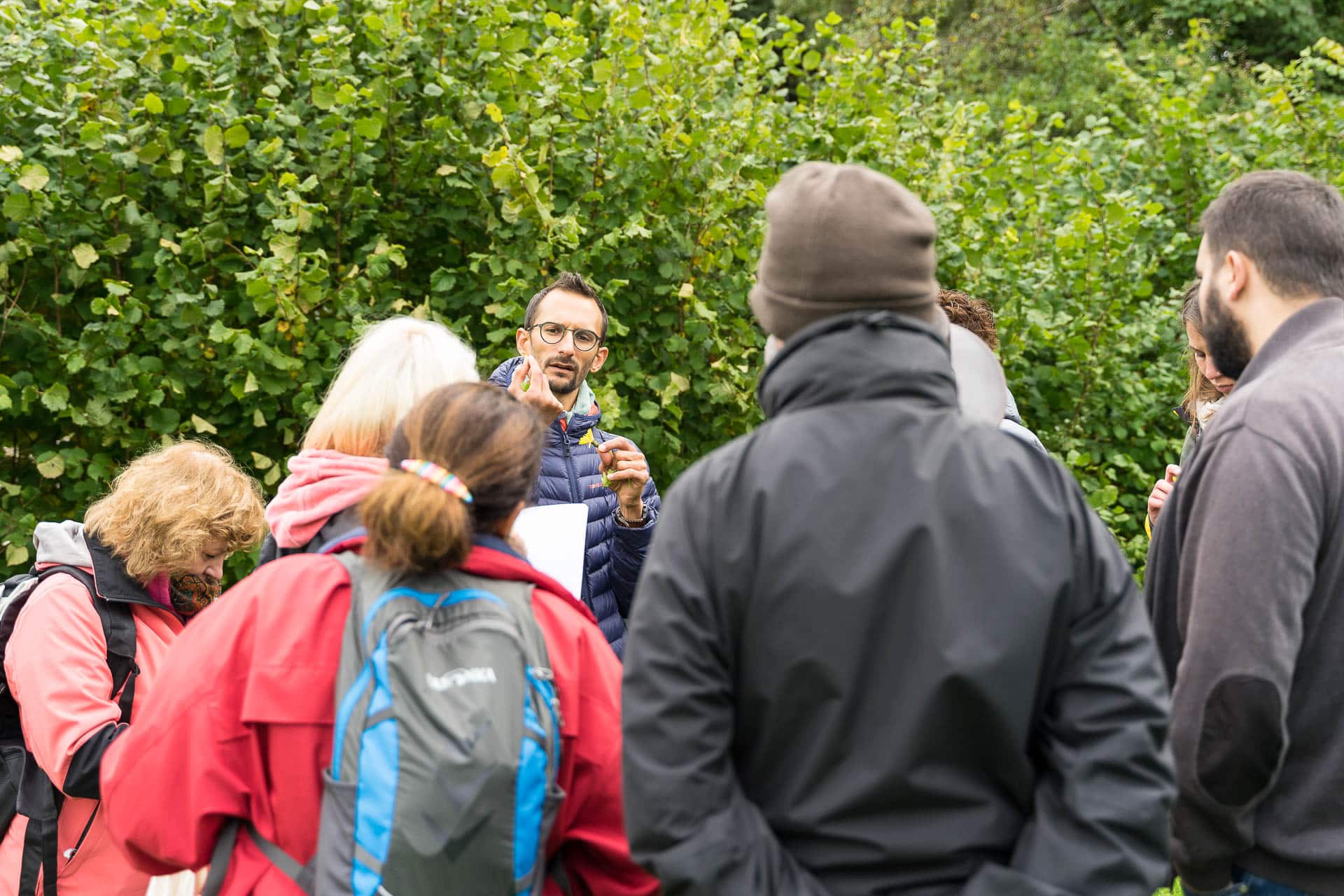 Cours d'initiation à la cueillette sauvage