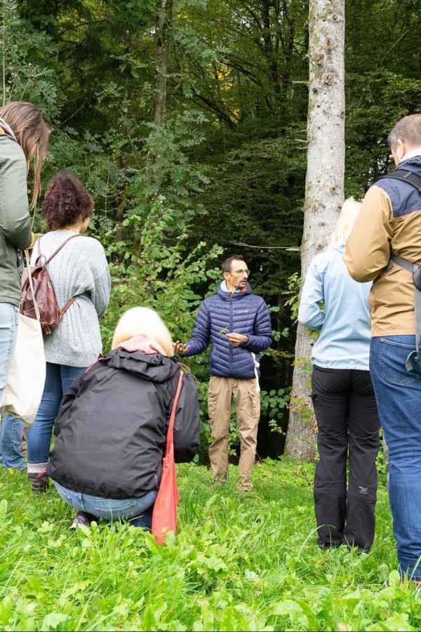 Formation de cueillette sauvage. Cueilleurs Sauvages