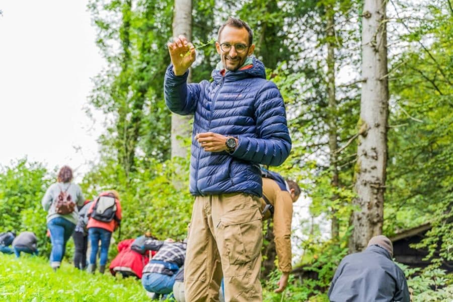 Cours de cueillette sauvage