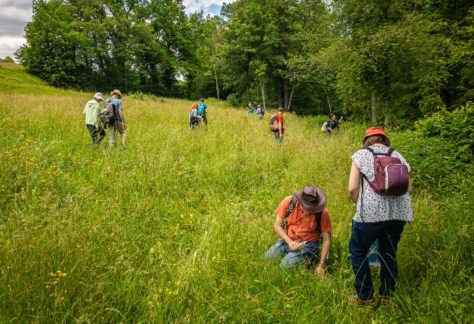 Cours de cueillette à la Sarraz