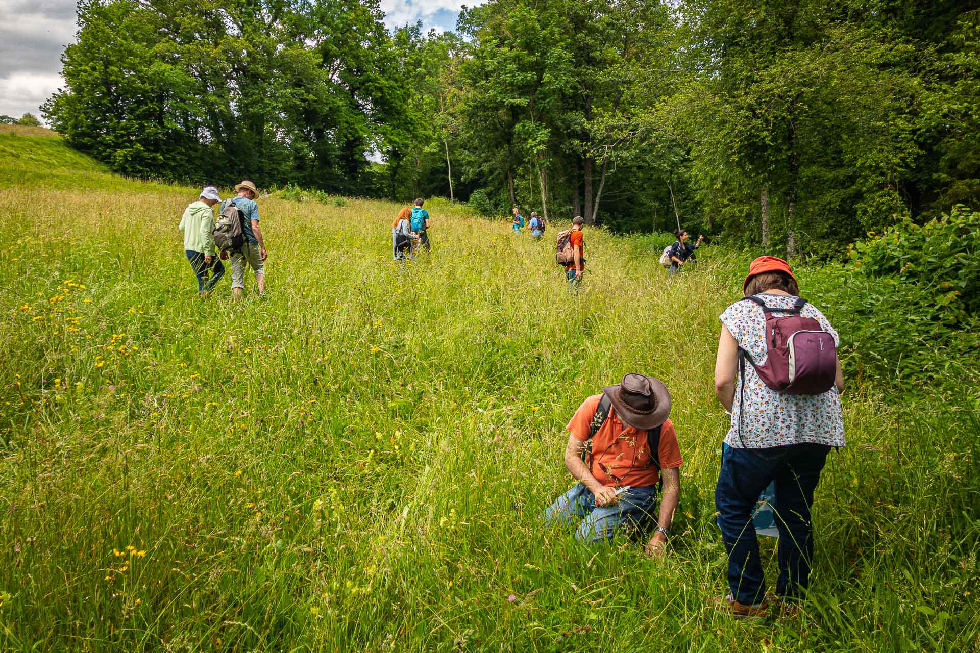 Cours de cueillette à la Sarraz
