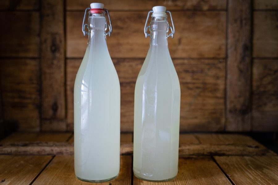 Voici une recette de cocktail sans alcool au sapin blanc. La récolte du sapin blanc est simple et peut se faire toute l'année, même en hiver. Cette limonade est idéale à faire pour un apéritif original et convivial, avec des enfants par exemple. Cueilleurs Sauvages.