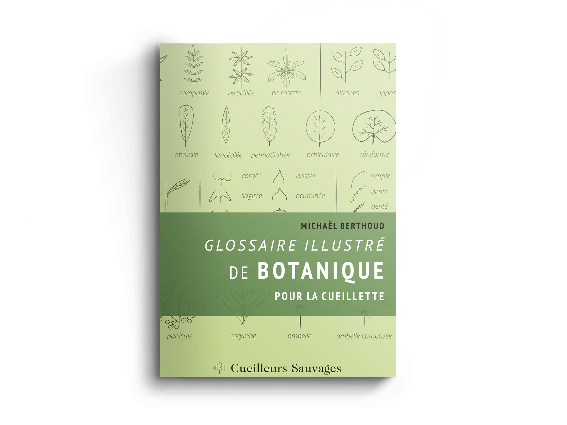 Glossaire illustré de botanique