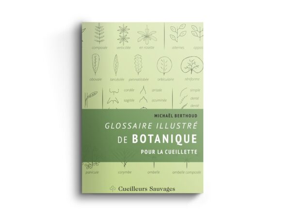 Featured image for “Glossaire illustré de botanique”