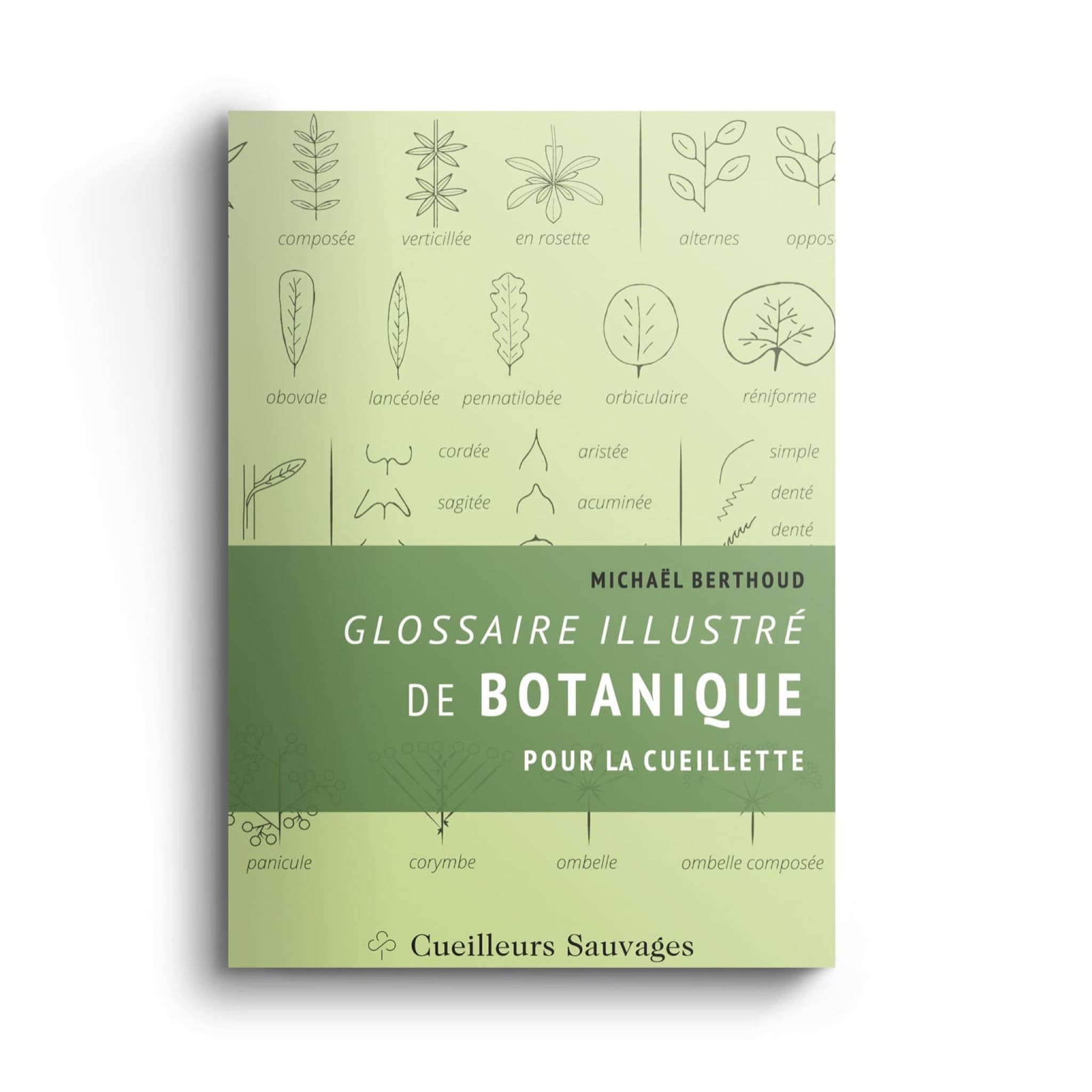 Image à la une pour  “Glossaire illustré de botanique”
