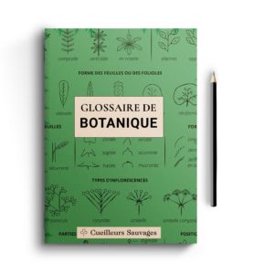 Glossaire illustré de botanique, Cueilleurs Sauvages