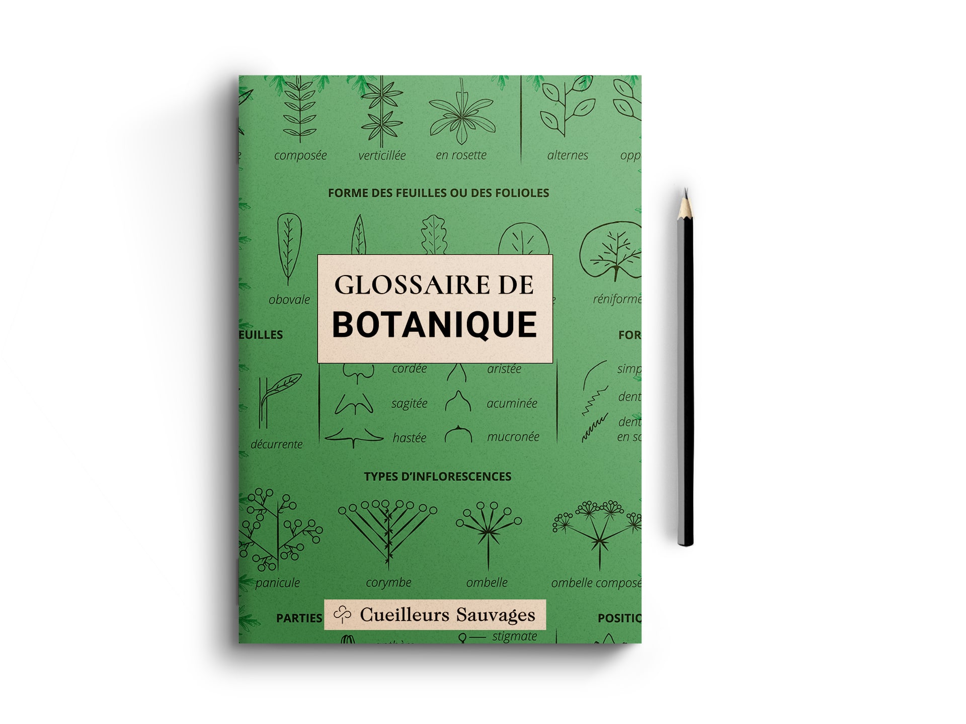 Featured image for “Dictionnaire illustré de botanique”