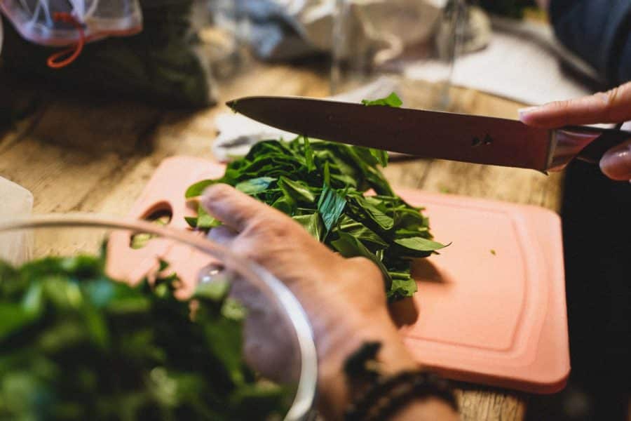 Préparation des plantes sauvages pour les conserver.