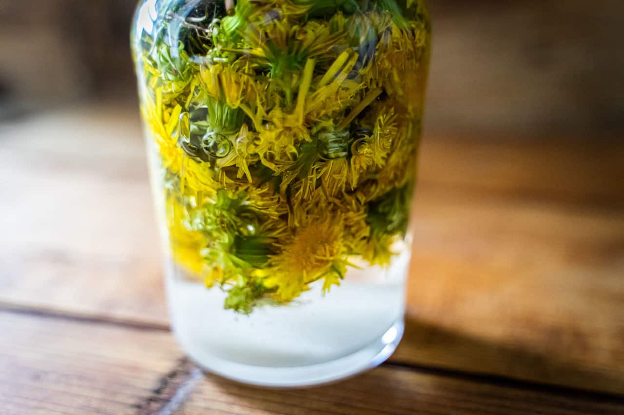 Conservation des plantes sauvages comestibles