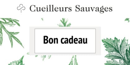 bon cadeau 2022 modele sans prix 600 logo