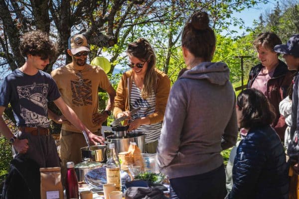 Journée de découverte des plantes médicinales. Cueilleurs Sauvages.