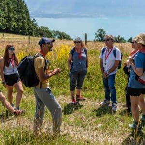 Cours sur les plantes sauvages comestibles et médicinales de montagne