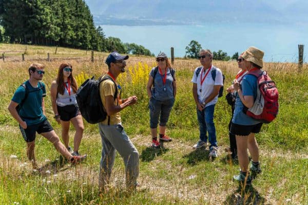 Cours sur les plantes sauvages comestibles et médicinales de montagne