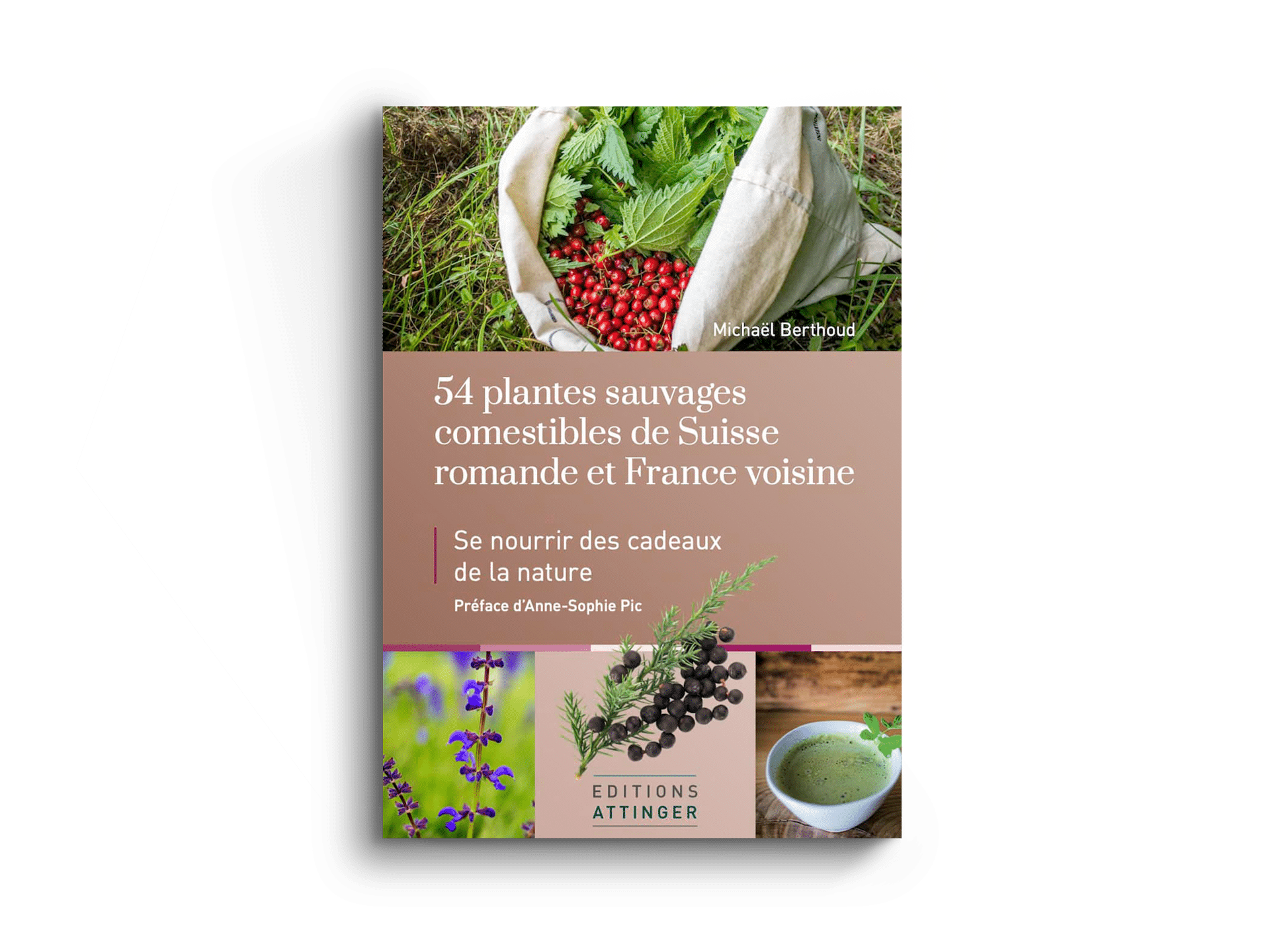 54 Plantes sauvages comestibles de Suisse romande et de France voisine