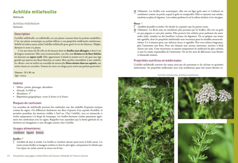 54 plantes sauvages comestibles de Suisse romande et France voisine. Se nourrir des cadeaux de la nature. Michaël Berthoud