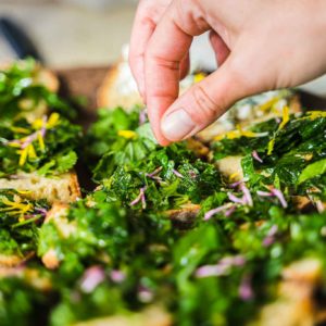 Apéro Sauvage durant une cueillette avec Cueilleurs Sauvages