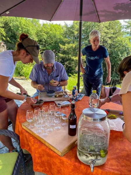 Cueillette et apéro sauvage aux Pléiades