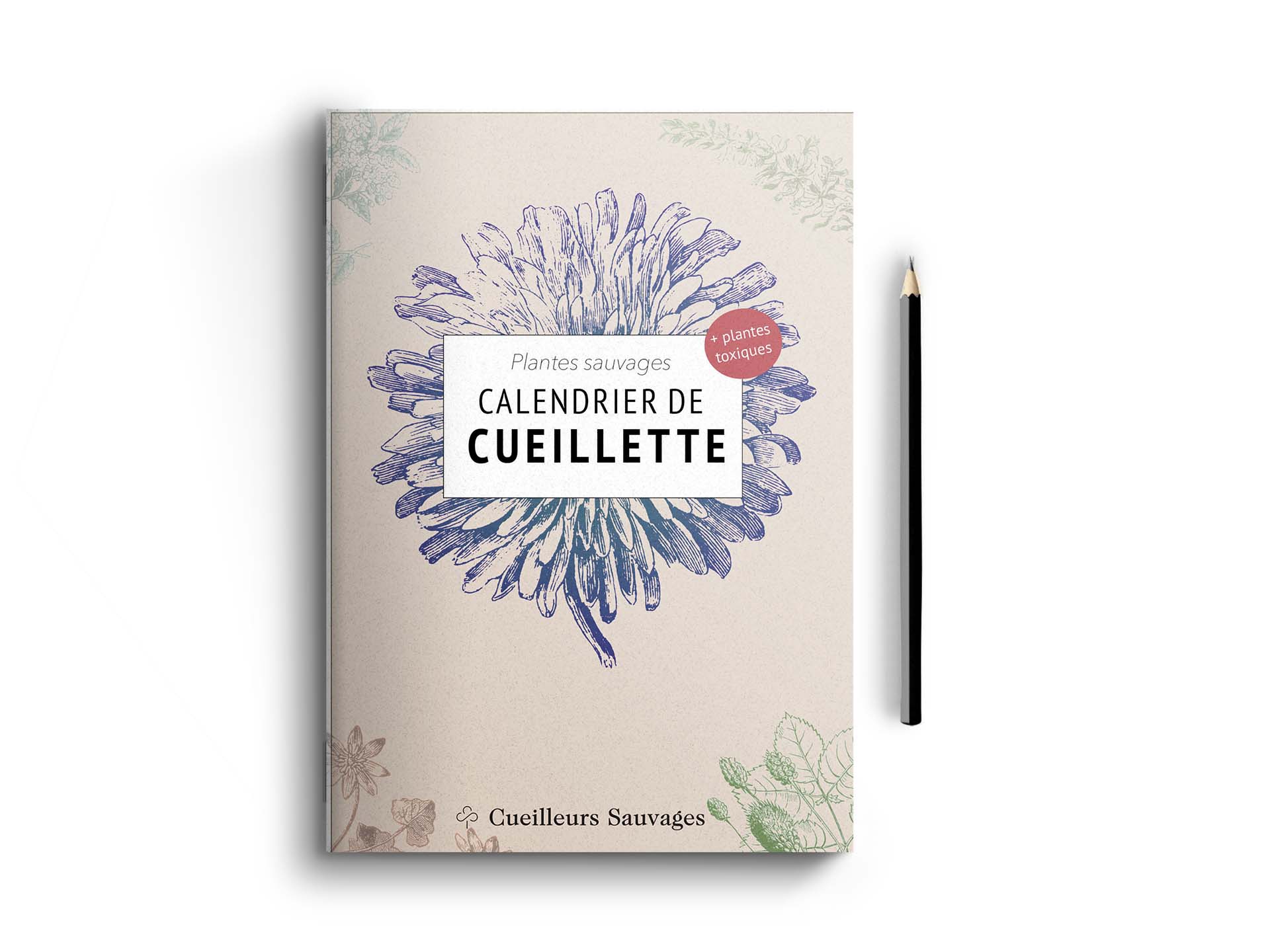 Featured image for “Calendrier de cueillette”