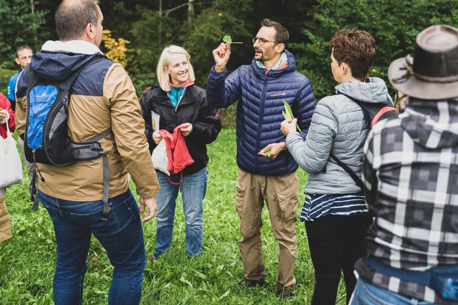 Cours d'initiation à la cueillette sauvage - Cueilleurs Sauvage