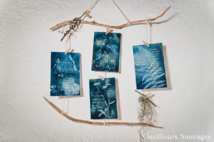 Atelier Cyanotypes botaniques