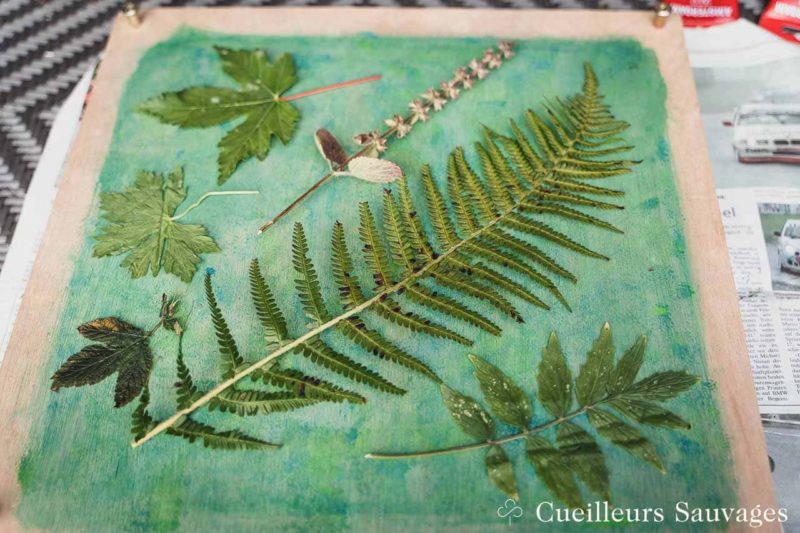 Presse à Fleurs Rayher 21x30cm - Carton Et Bois - Pour Art Créatif Et Herbier - Naturel