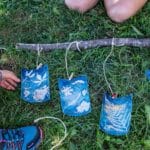 Atelier cyanotypes botaniques avec Marie Mellioret. Cueilleurs Sauvages.