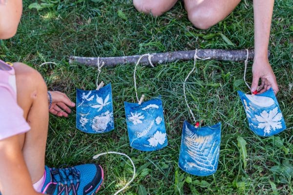 Atelier cyanotypes botaniques avec Marie Mellioret. Cueilleurs Sauvages.