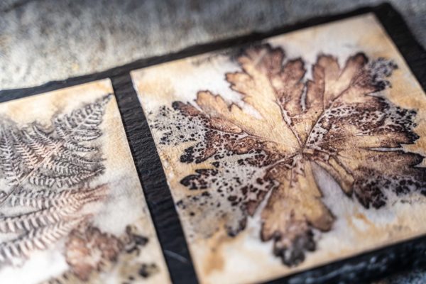 Écoprint à la marmite, Cueilleurs Sauvages
