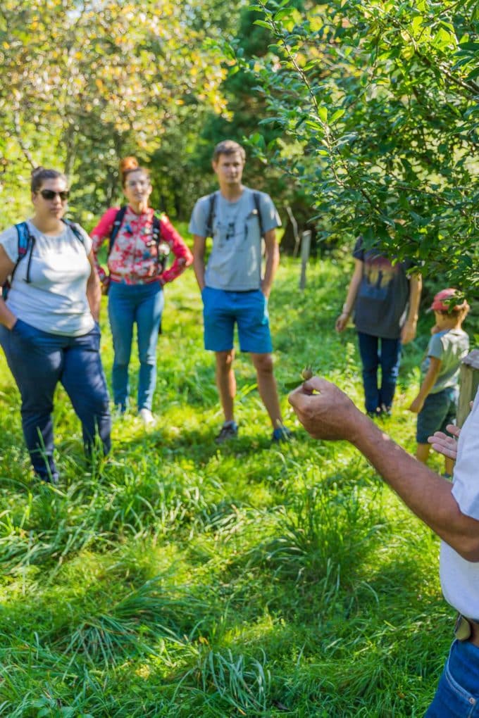 Cours sur les fruits sauvages