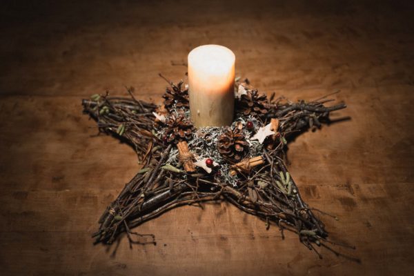 Atelier de création d'une Étoile de Noël. Cueilleurs sauvages